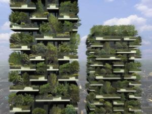 01-bosco-verticale-2